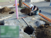 新のぼり棒部基礎