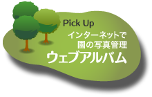 ウェブアルバム